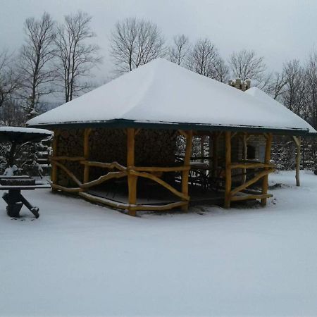 Karpaty Viking Μοτέλ Nizhneye Sinevidnoye Εξωτερικό φωτογραφία